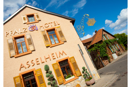 Pfalzhotel fassade